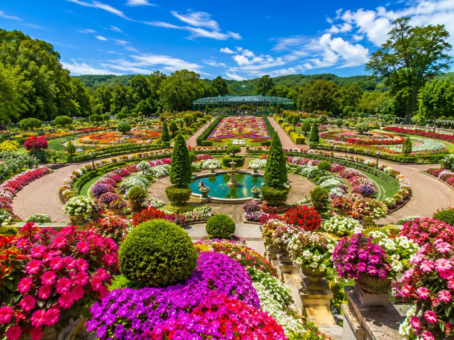 The Flower Garden